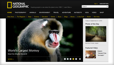 在线轰炸电话网页版